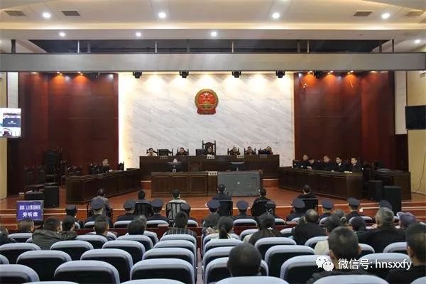 保靖法院:公开开庭宣判涉恶案件