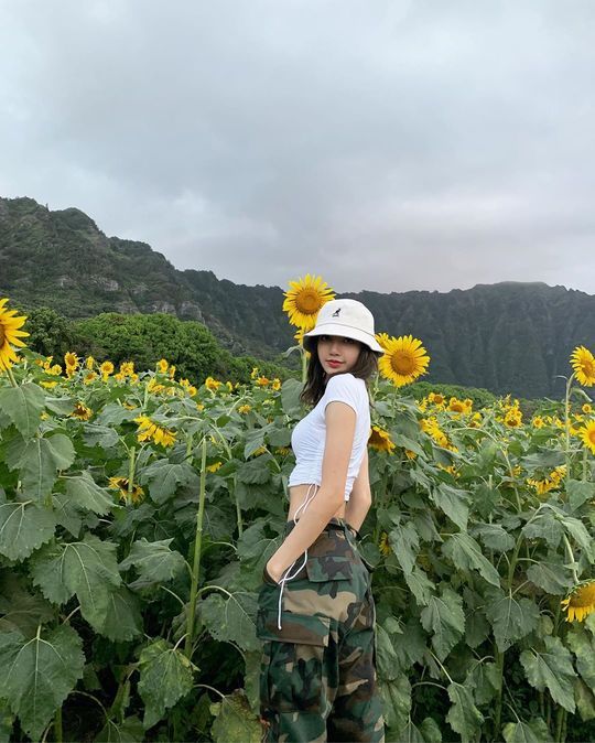 blackpink lisa,与向日葵一起展现的绝美画面