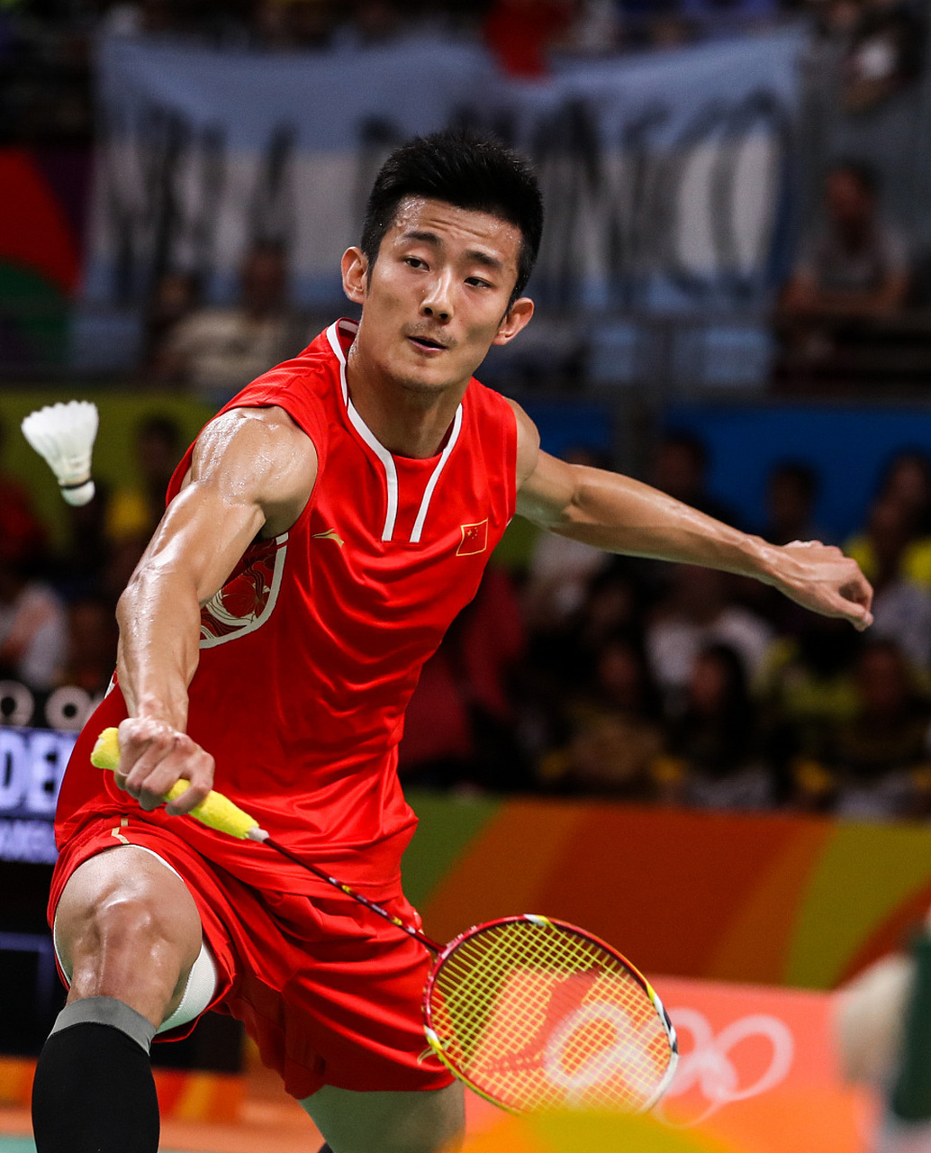 谌龙,1989年1月18日出生于湖北省荆州市沙市区,中国羽毛球运动员.