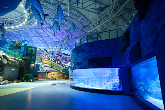 除了建筑精致的显应宫,山东·烟台的知名景点原来还有这些