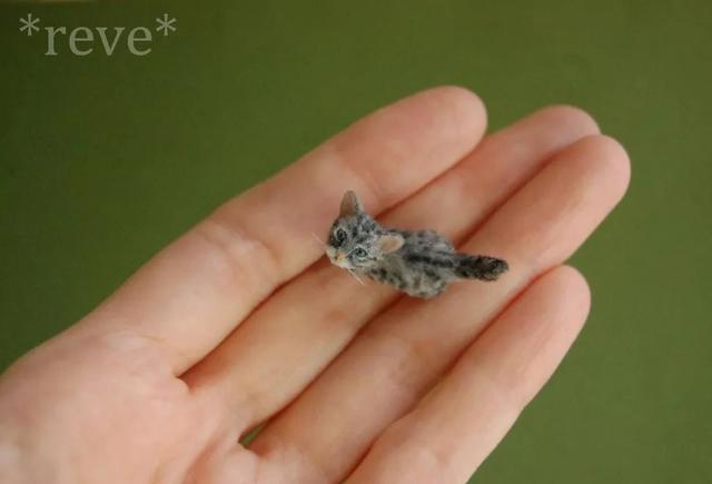 这些比手指还要小的小动物!简直要把我萌化啦!