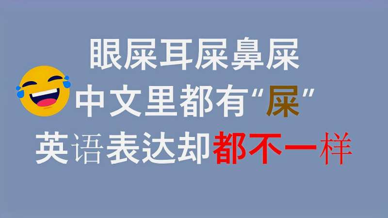 眼屎耳屎鼻屎中文表达都有 屎 英语中却都没提到 怎么翻译呢 好看视频