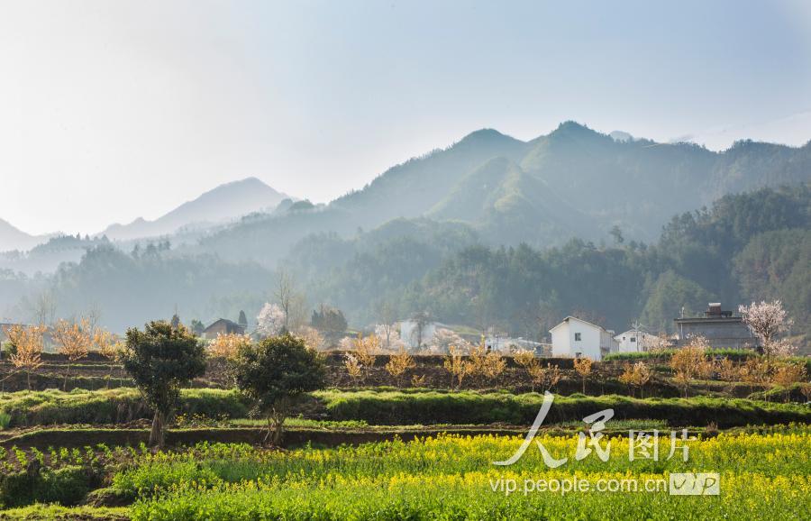 2019年3月19日拍摄的湖北竹溪县中峰镇甘家岭村.