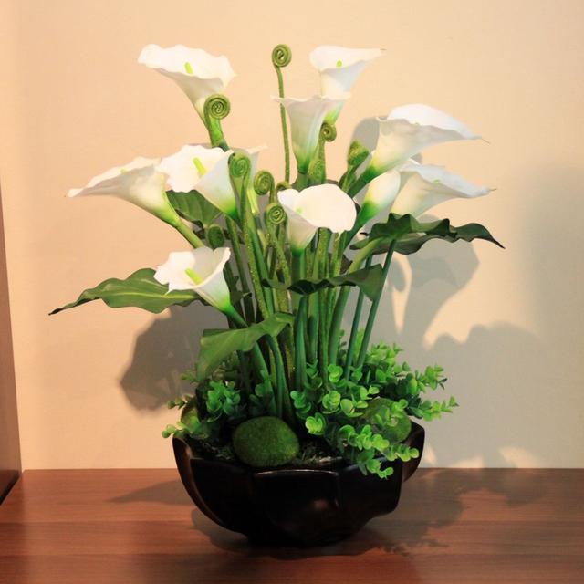 观花观叶都能满足!家里养盆马蹄莲,让你感受不一样的美感!