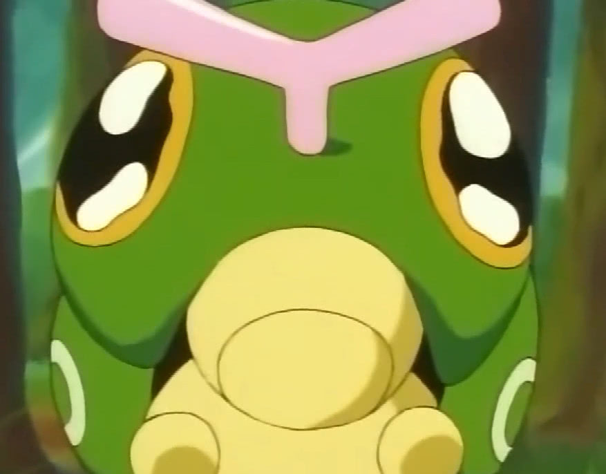 盘点小智收服过的所有虫系神奇宝贝,其中有一只,很多人都不知道