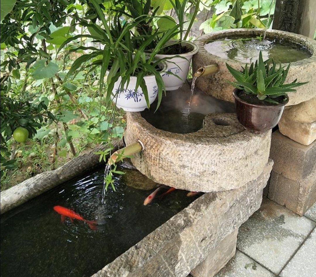 石槽养花注意事项