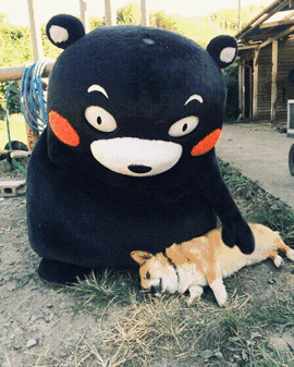 甲方:给我来一打熊本熊,年赚1408亿日元那种吉祥物