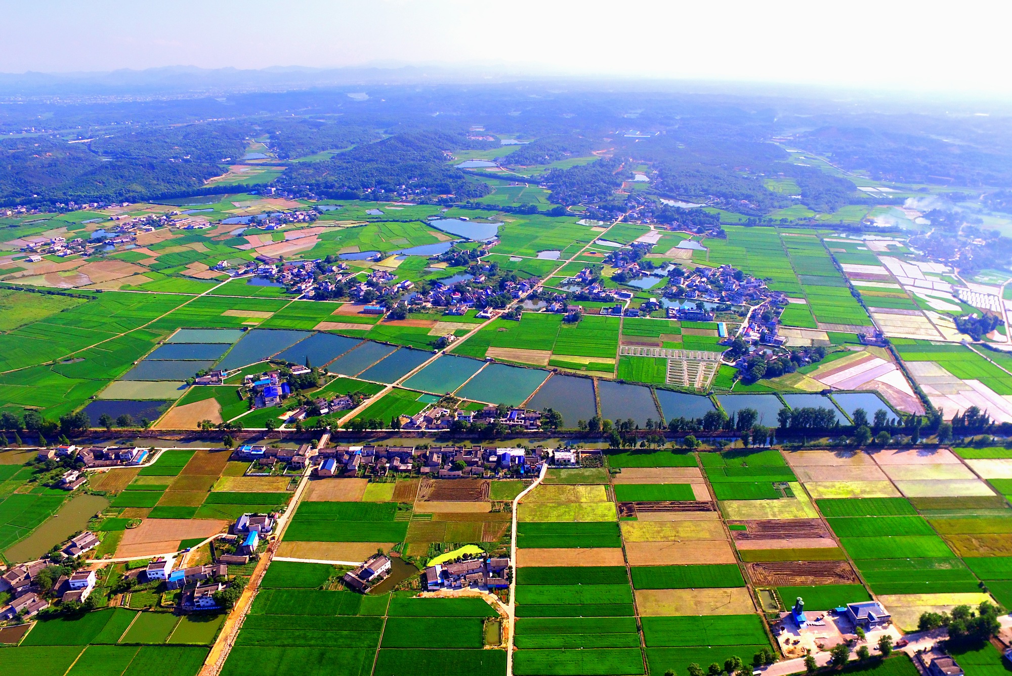 湖南韶山旅游区银田镇有个银田寺,院内一棵古银杏那是非常漂亮的.