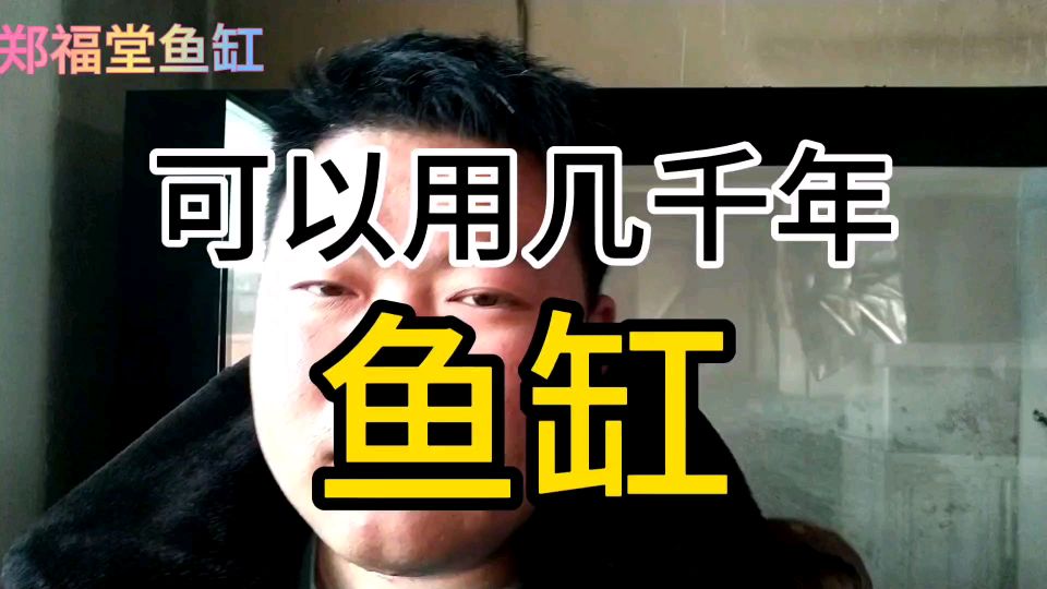 可以用几千年的鱼缸,有没有了解过,产品不错