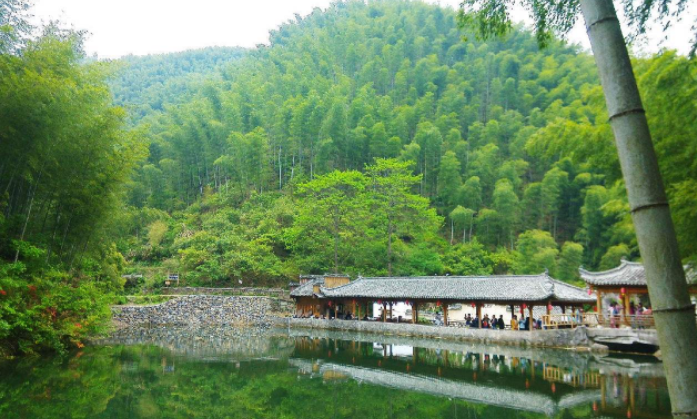 旅游安徽篇:欣赏一组宏村木坑竹海的图片