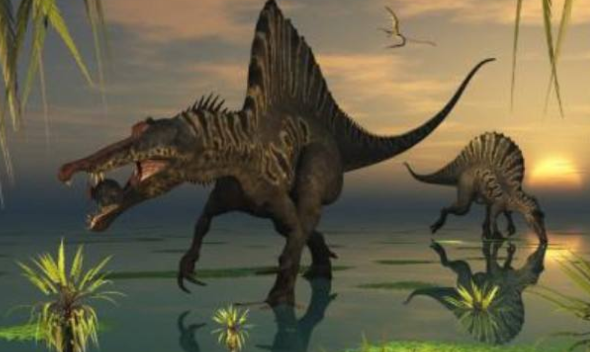 动物趣谈:行走的"吸尘器"——尼日尔龙!