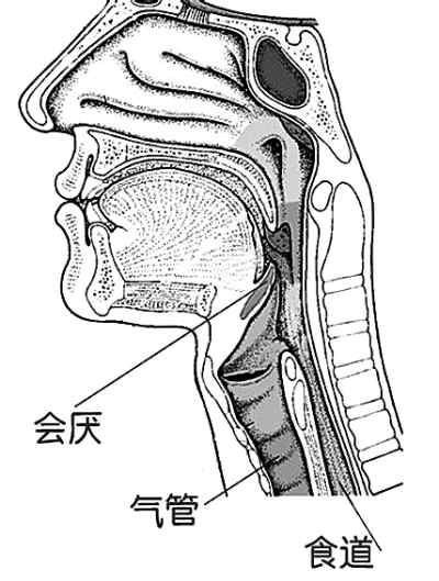 没想到"急性会厌炎"让他命悬一线!