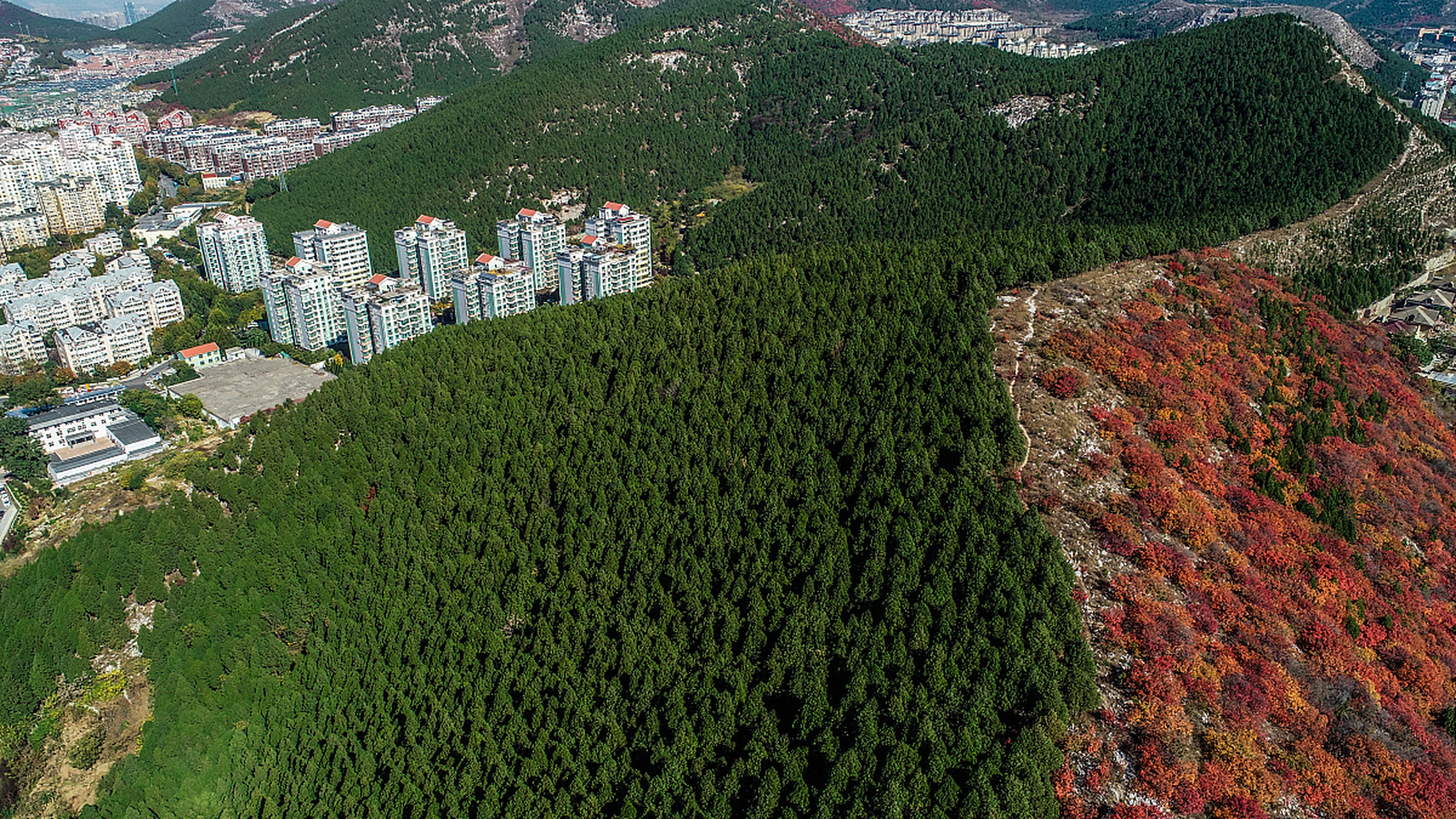 围子山是济南东部新城的一个重要山体,位于唐冶新区,周围有刘公河和土