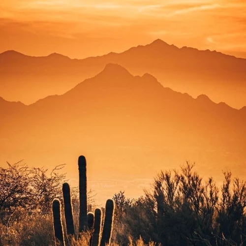 这些2020年最火的头像,微信头像图片任你选