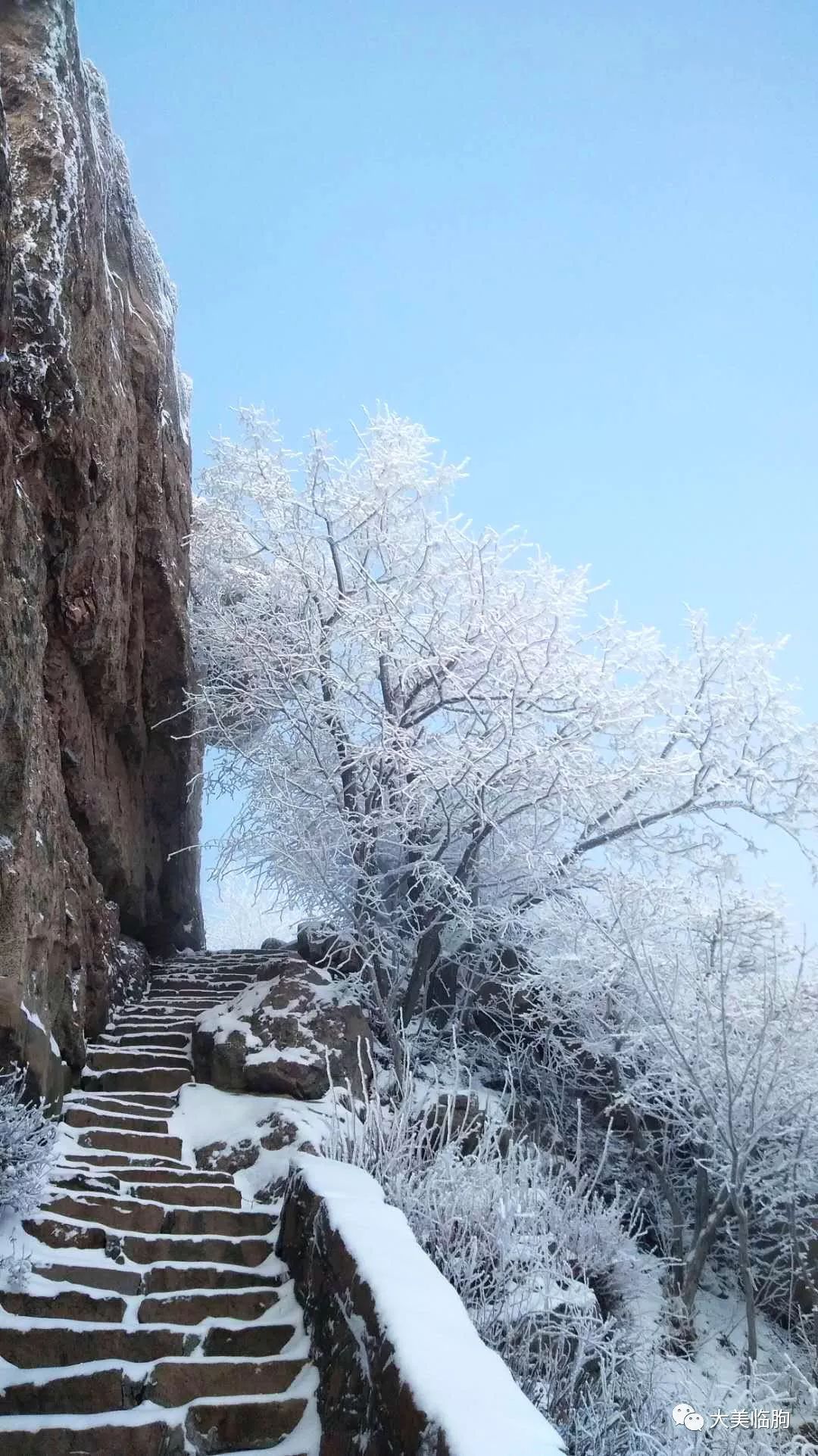 雪后的沂山,美如天宫