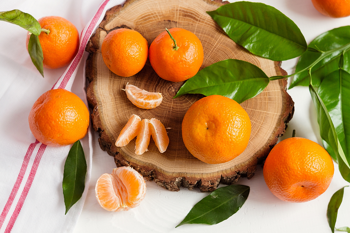 柑橘类水果慎重喂食