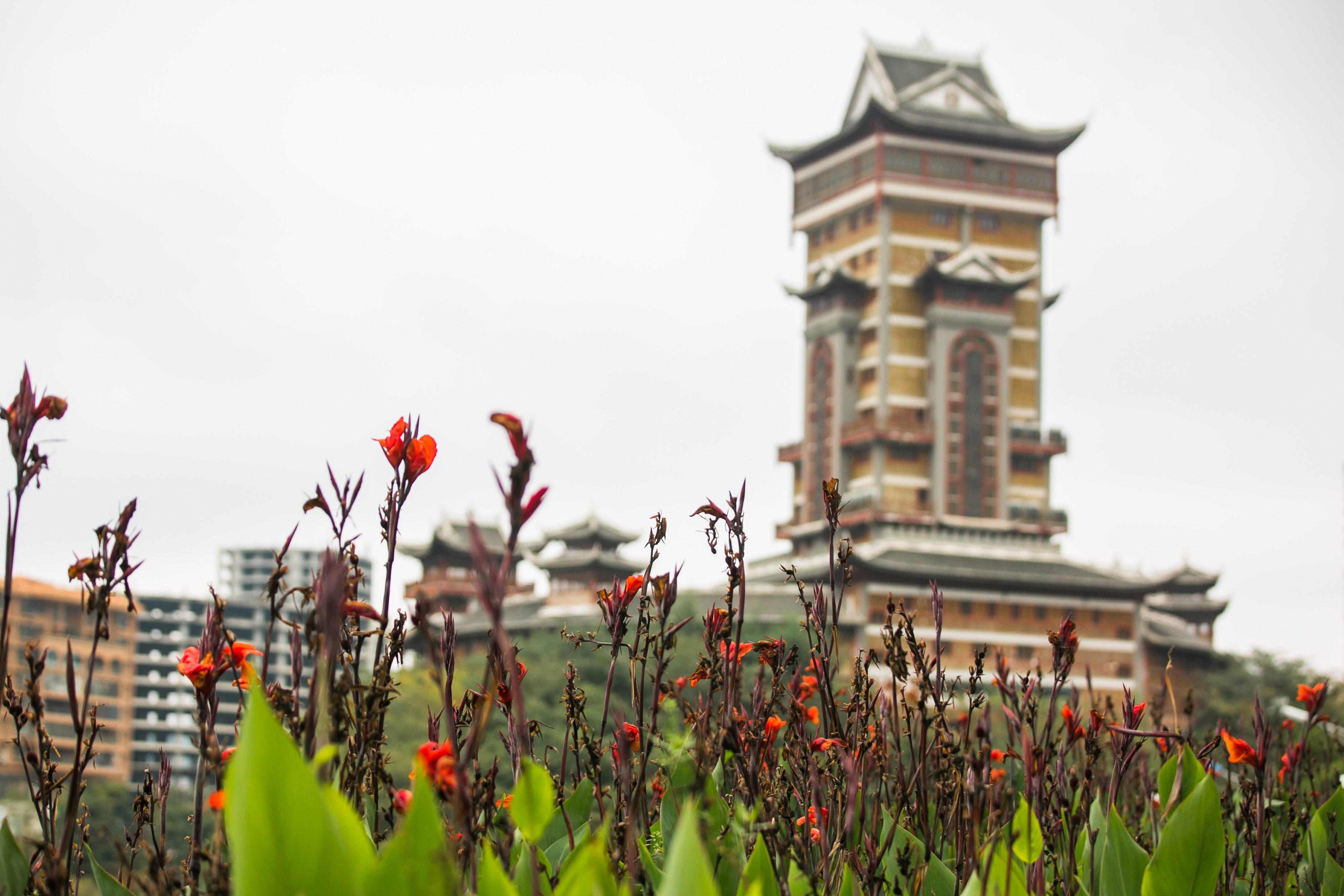 多图|贵州毕节:湖色美景醉深秋