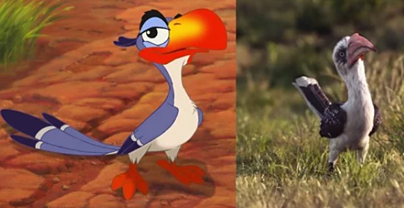 狮子王里有没有这个鸟啊,我怎么不记得,不过右边的真鸟挺像