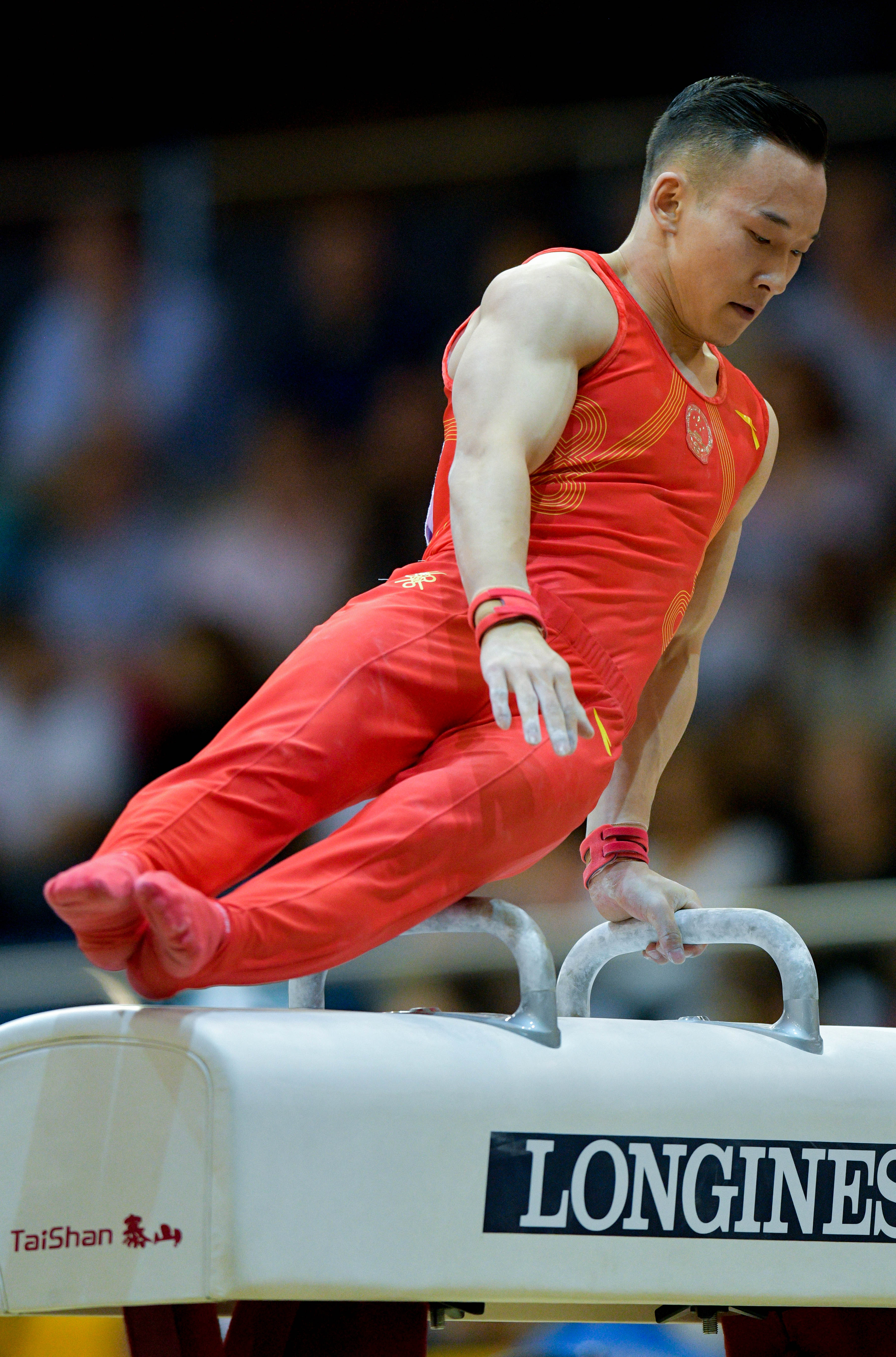 体操——世锦赛:肖若腾鞍马夺冠