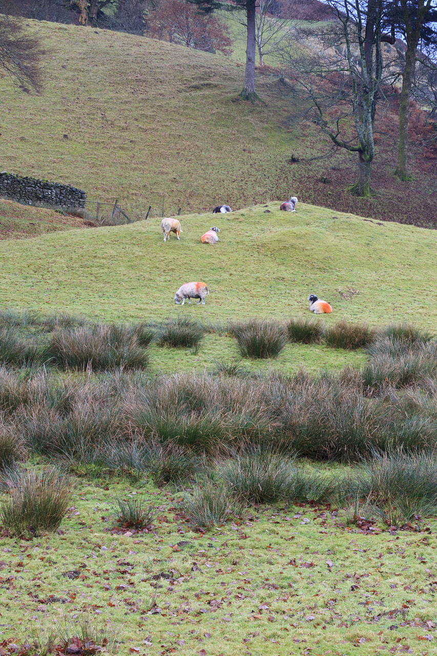 城市大玩家# 北京 白草畔是百花山的主峰,海拔高度2161米,是北京等