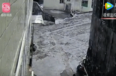 命悬一线!警惕儿童平衡车事故,别把生命当儿戏