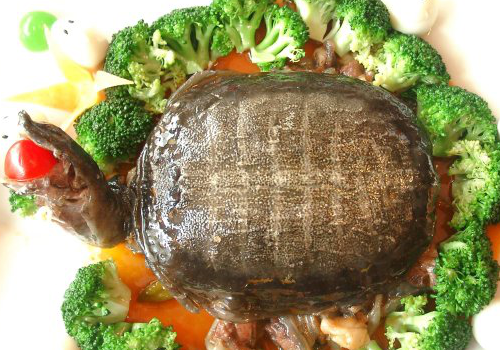 吃货们都听过这句话吧,美食和风景,可以抵抗全世界所有的悲伤和迷惘.