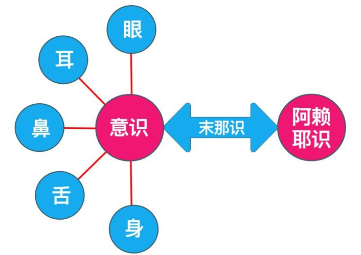 八识简表及图解图片