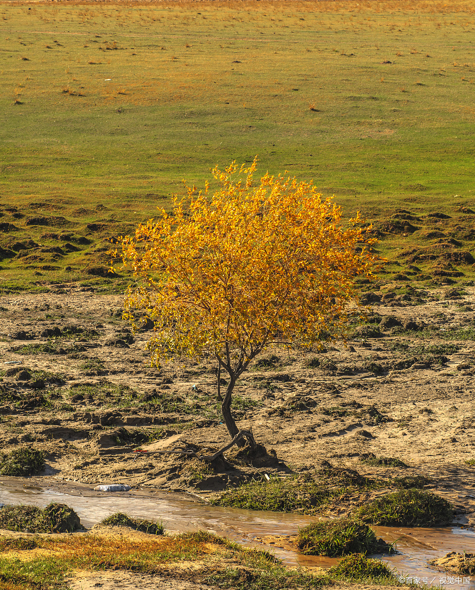 河北承德围场满族蒙古族自治县怎么样?