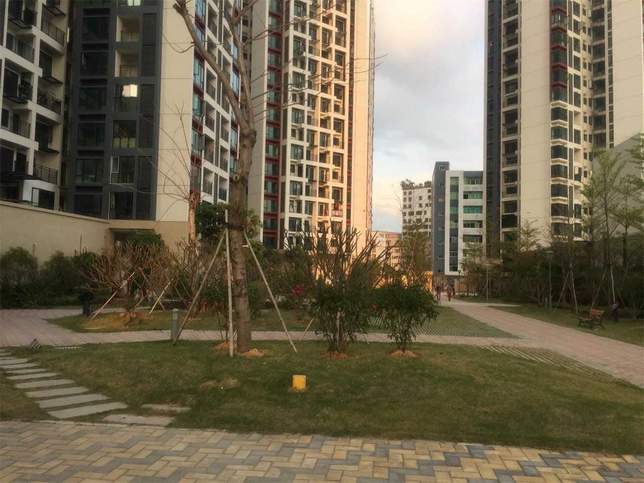 西丽崛起 茶光冠铭花园 公租房和回迁安置房有你吗