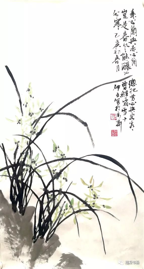 瑞凝书画 仲立老师花鸟画专题