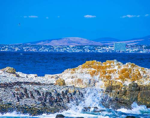 非洲小国莫桑比克之旅,著名的旅游胜地!