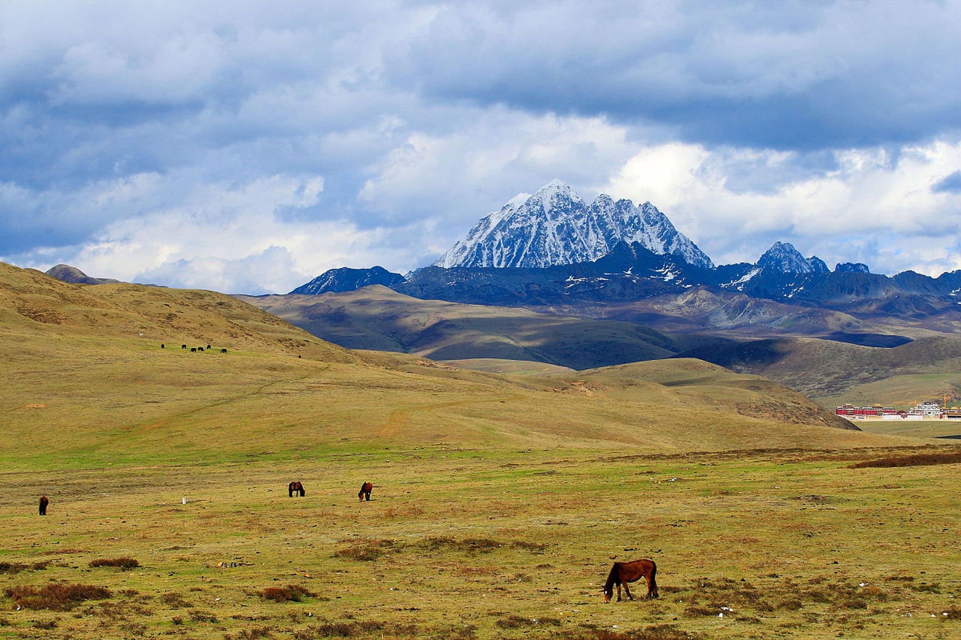 离开新都桥前往色达的路上,经过了塔公草原,距离亚拉雪山观景台只有十