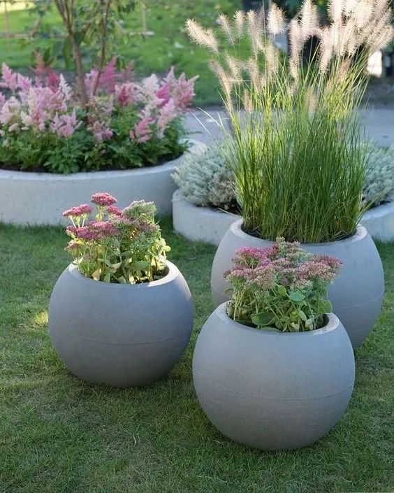 花钵- 优质问答专区