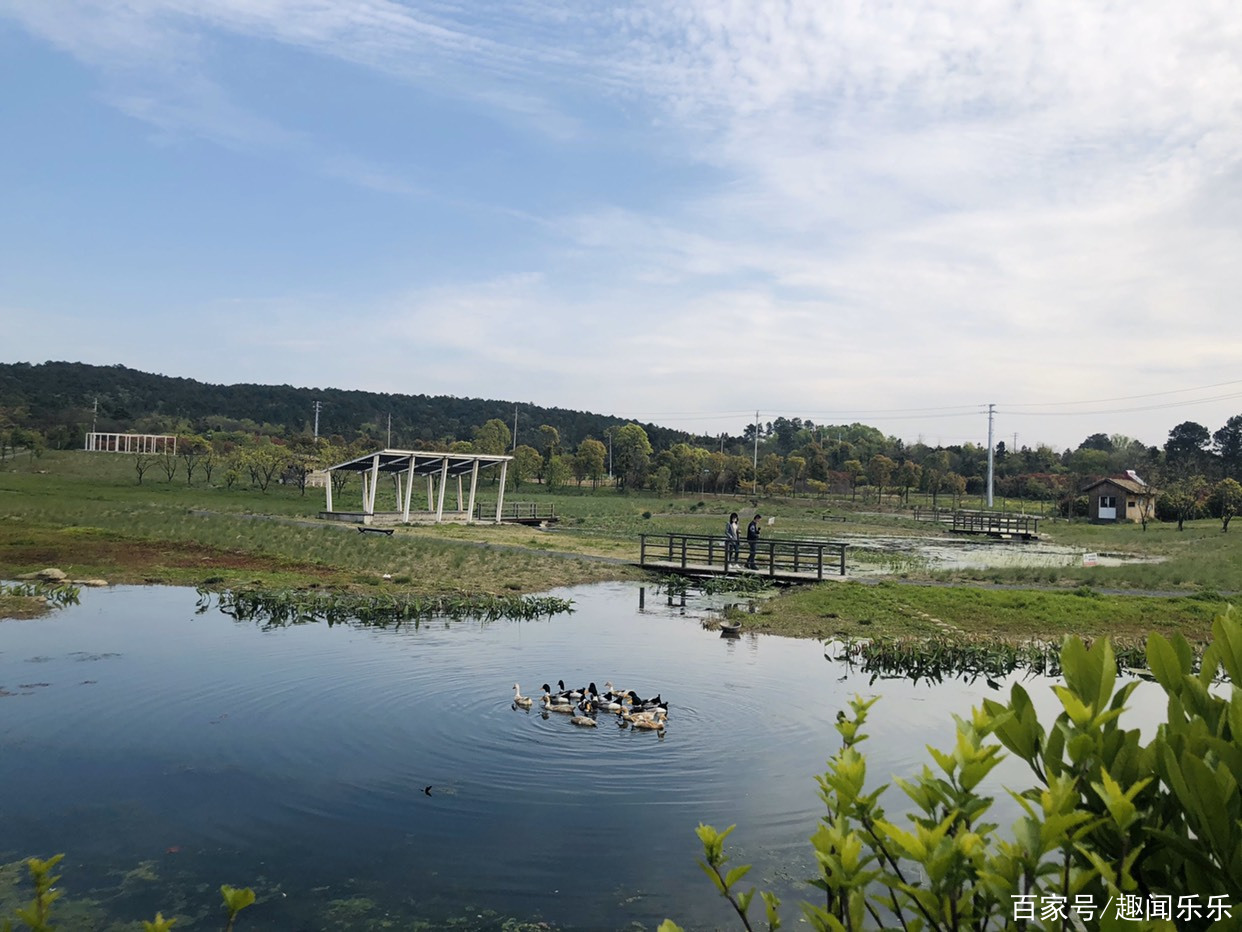 南京溧水一古村,300多年的劉氏宗祠歷史,民宿休閒自駕遊好去處