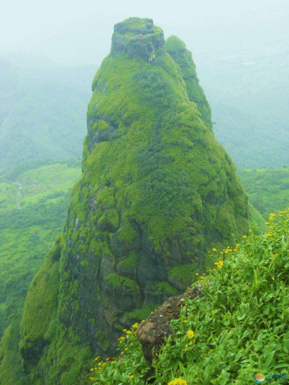 印度的一座锥形山峰,全程斜度70度!网友:山没有楼梯有名