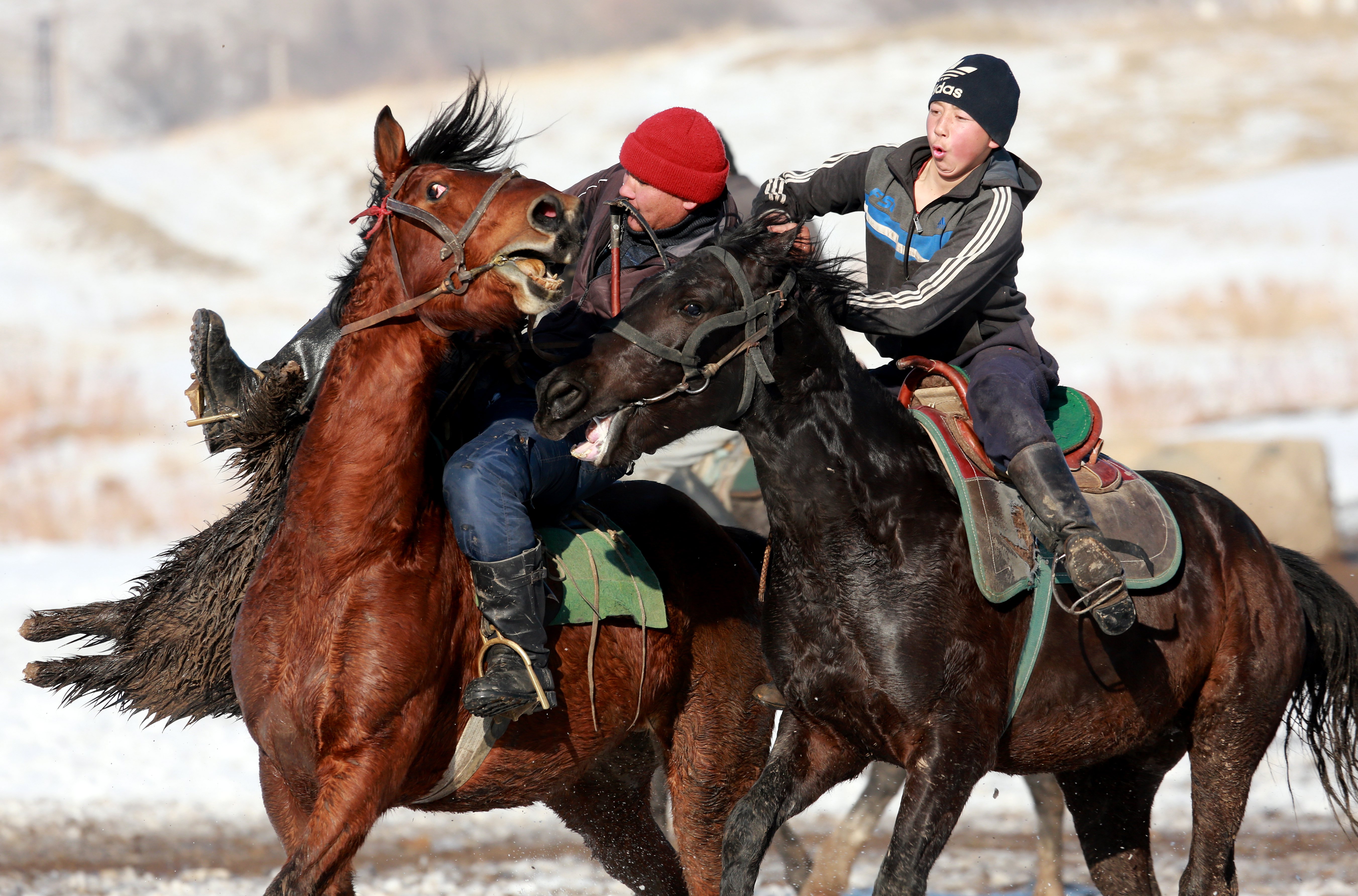 [2](外代二线)"马背叼羊"比赛