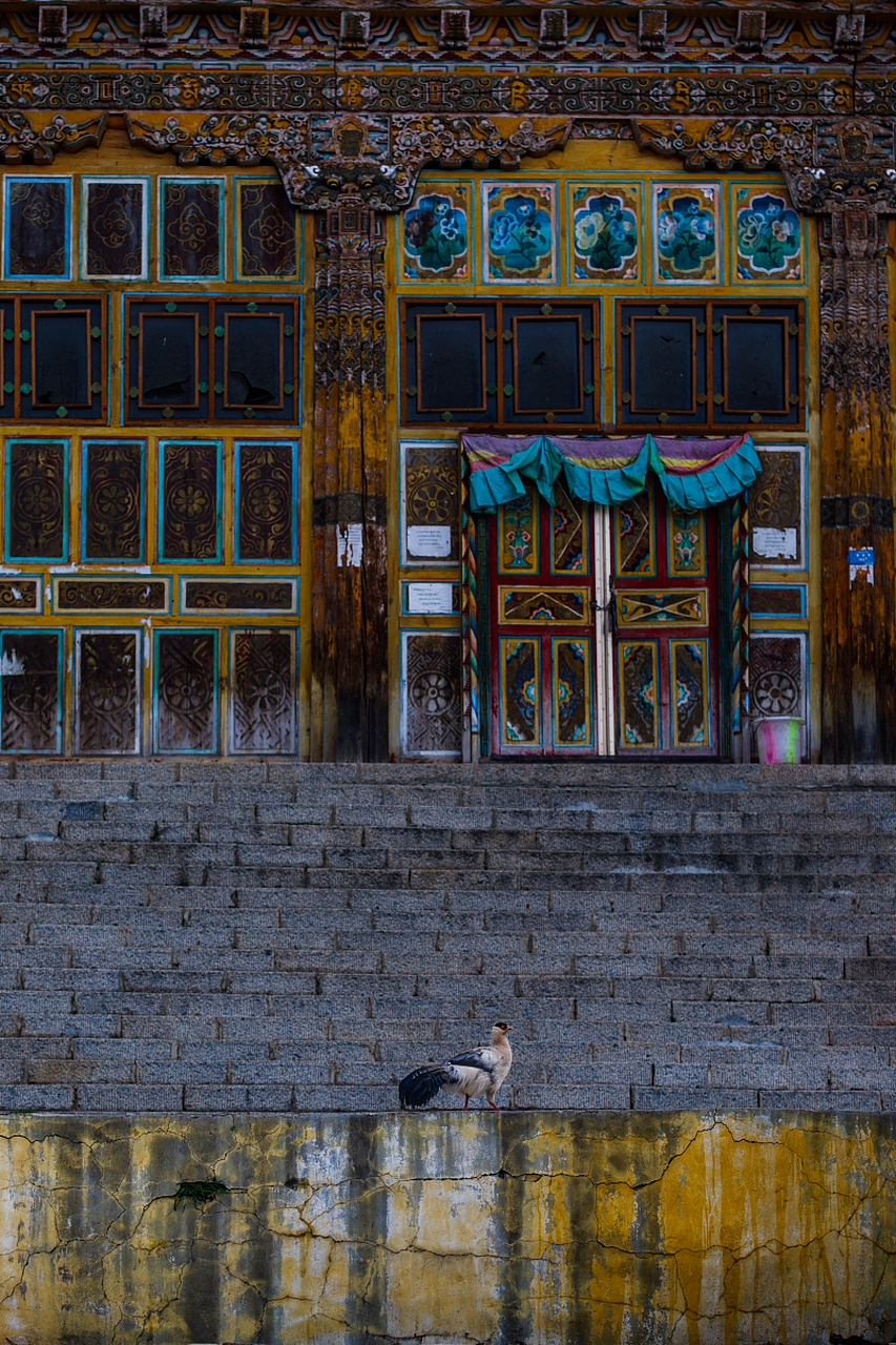 """家中之女透露,明日若你竟忍佩戴华服旗袍,自身翩然绚丽,宛如圣诞树