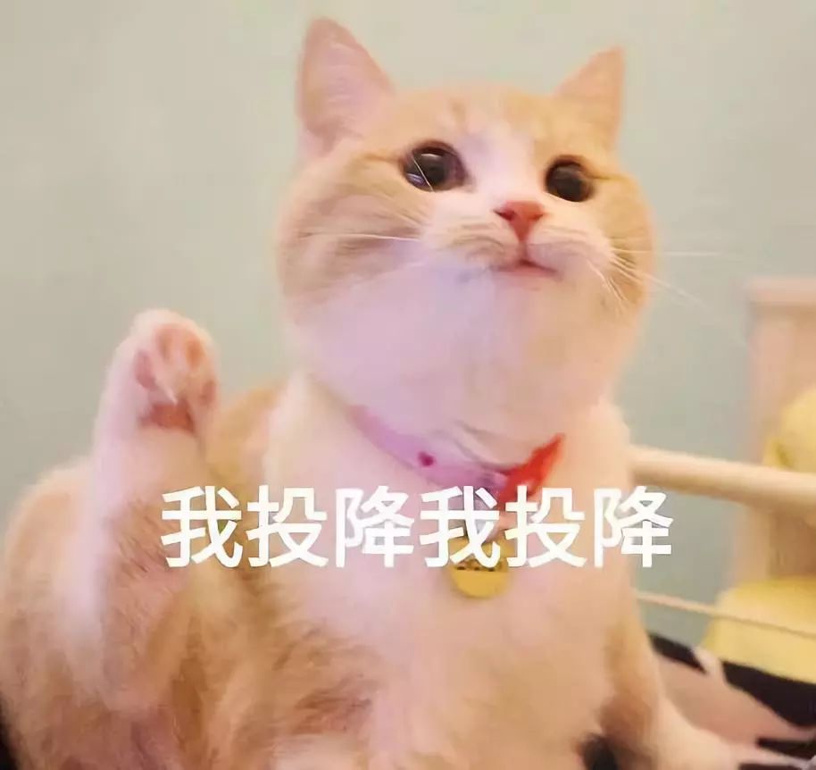 邵武以后每周2.5天小长假,真的要来了?