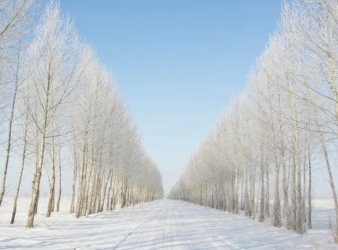 呼伦贝尔 内蒙古自治区东北部中国千万不能错过的最美雪景地