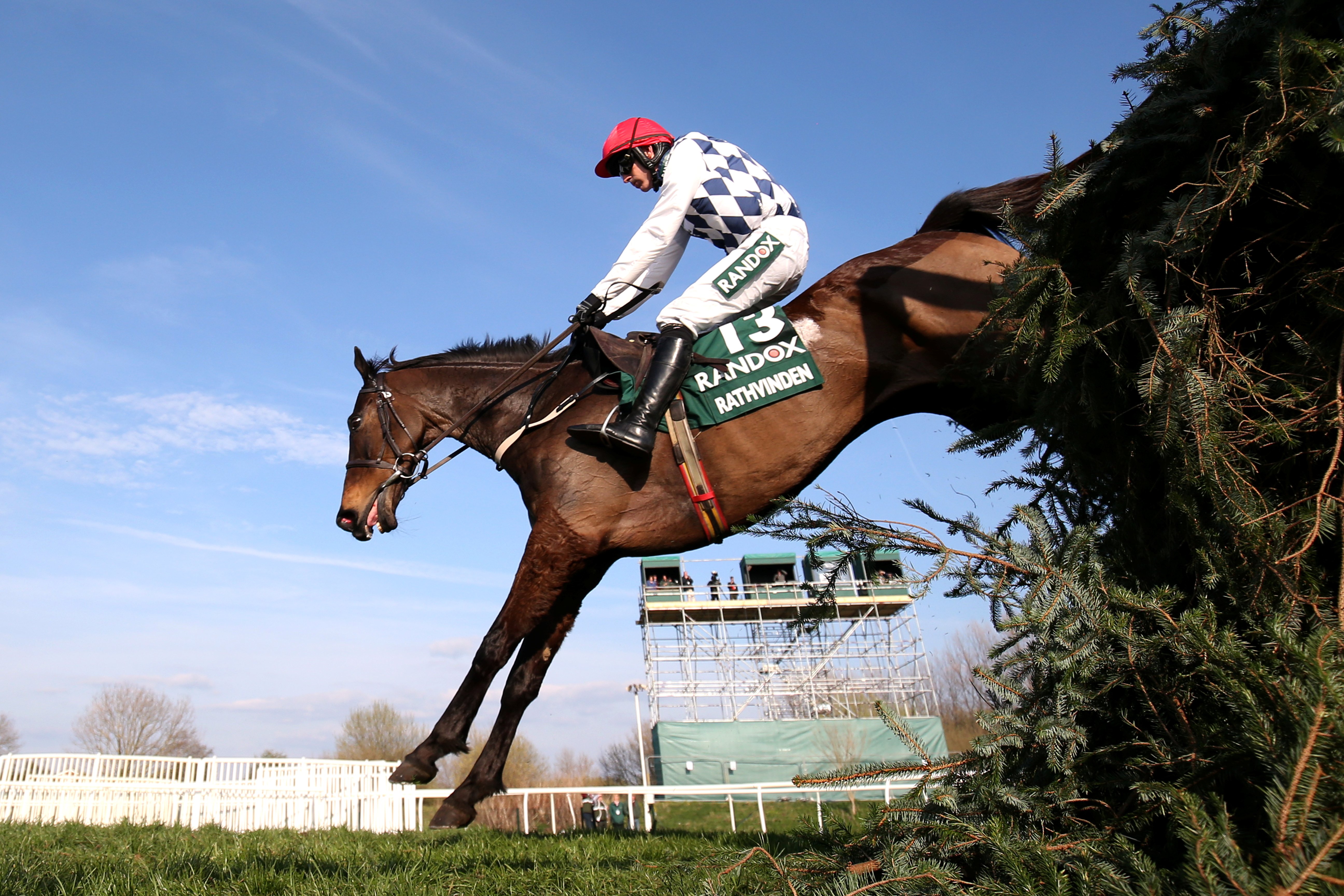 英国国家障碍赛马大赛落幕(2)