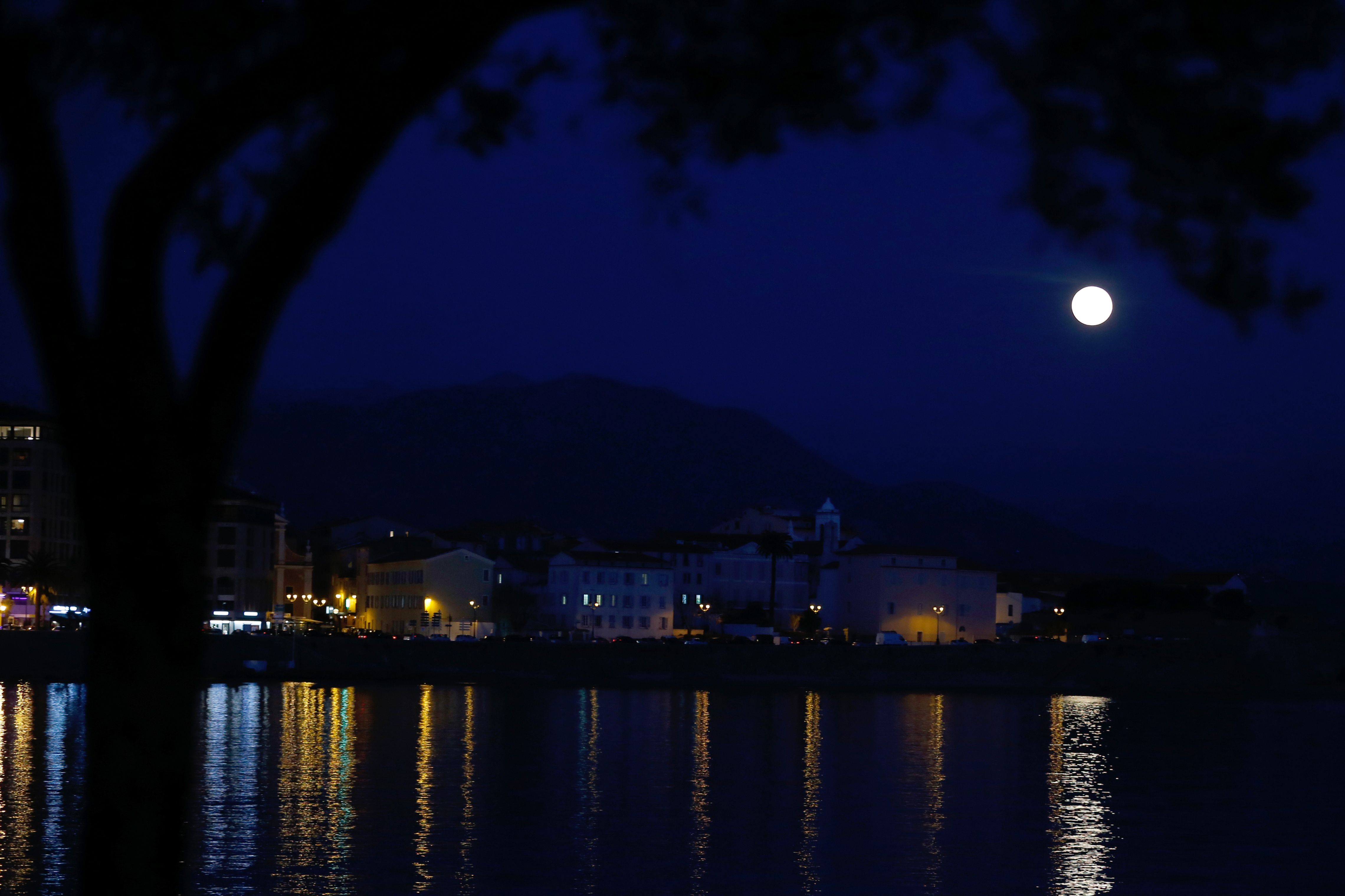 全球共赏月圆夜(4)