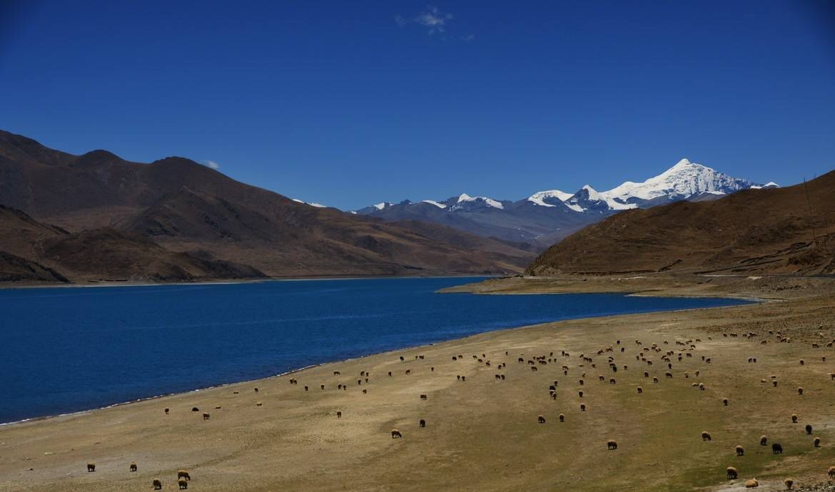 错那湖,位于那曲市安多县,湖面海拔4650米,是怒江的源头湖.