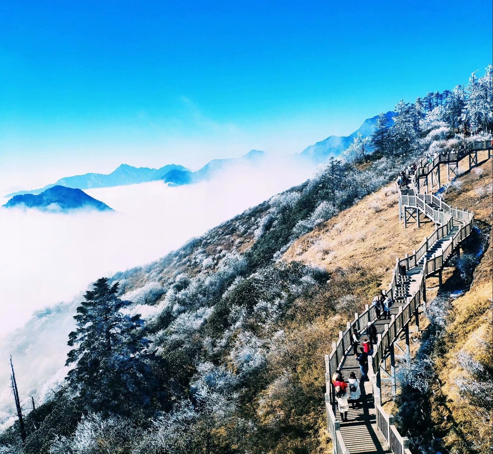 成都:西岭雪山-海拔高度3250米的地方与天接近,穿破云海