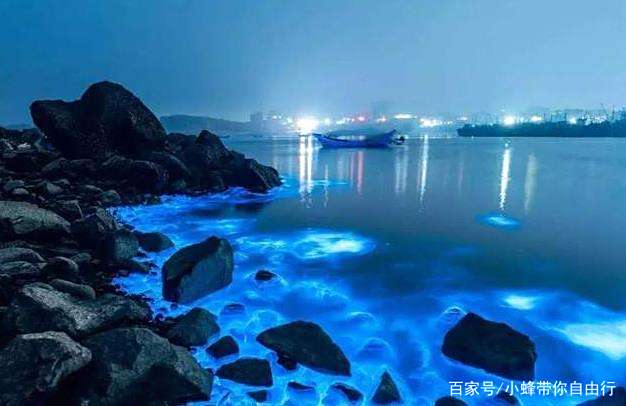 蓝色大海的传说!福建夜景“蓝眼泪”奇观,引网友遐想 蓝色大海的传说!福建夜景“蓝眼泪”奇观,引网友遐想