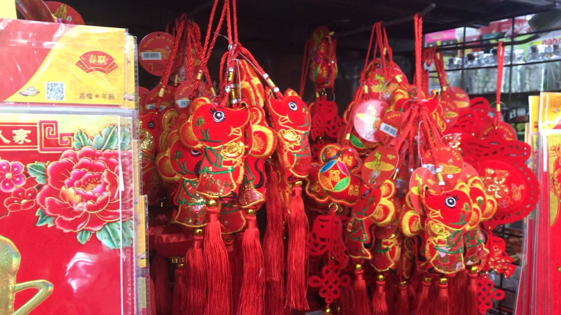 临近过年气氛越来越浓,我去超市准备年货,给老母亲也接来过年!