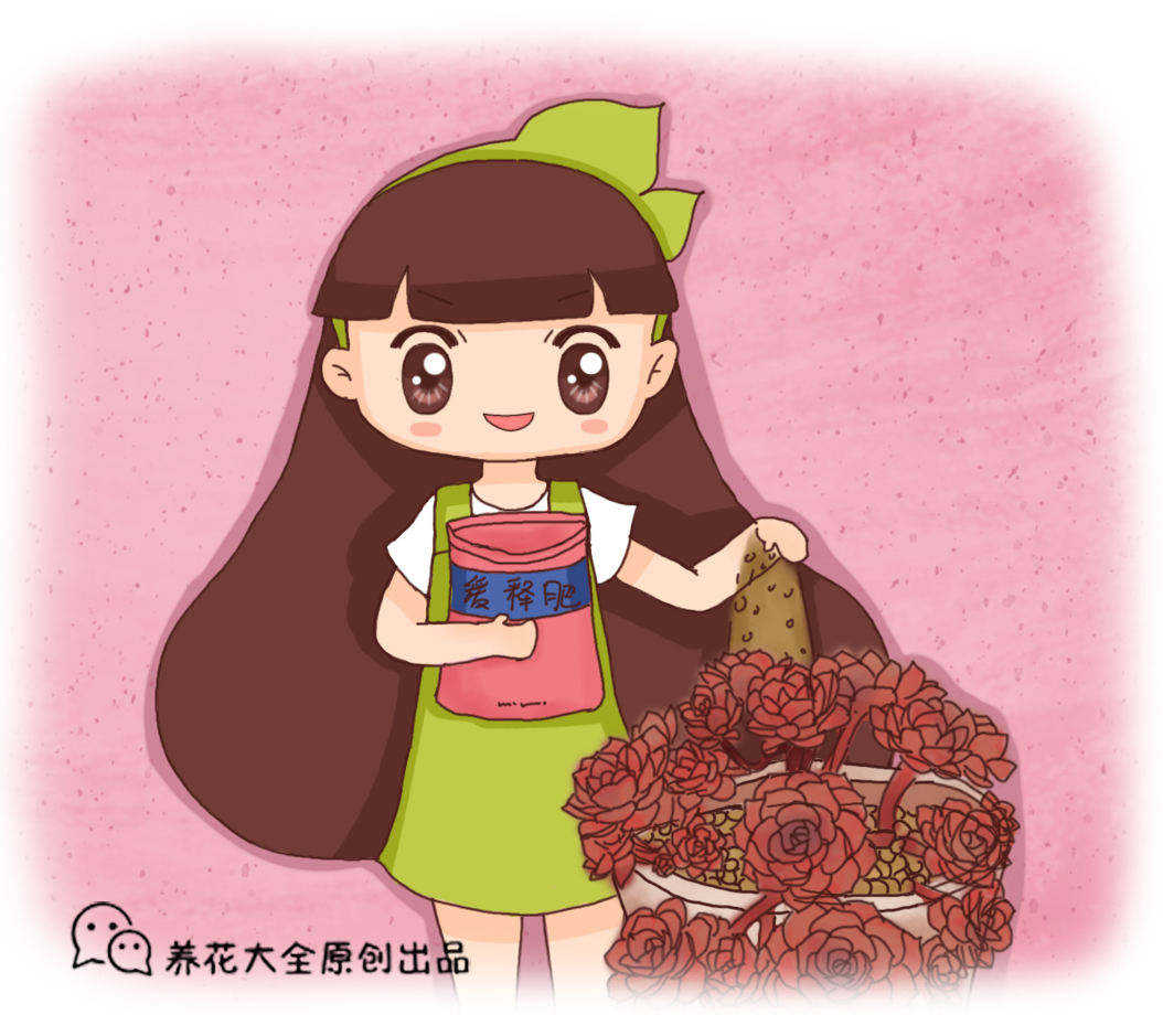 立春后 花儿都快醒了 该给花喂点肥了 来自百家号 养花大全 不错网