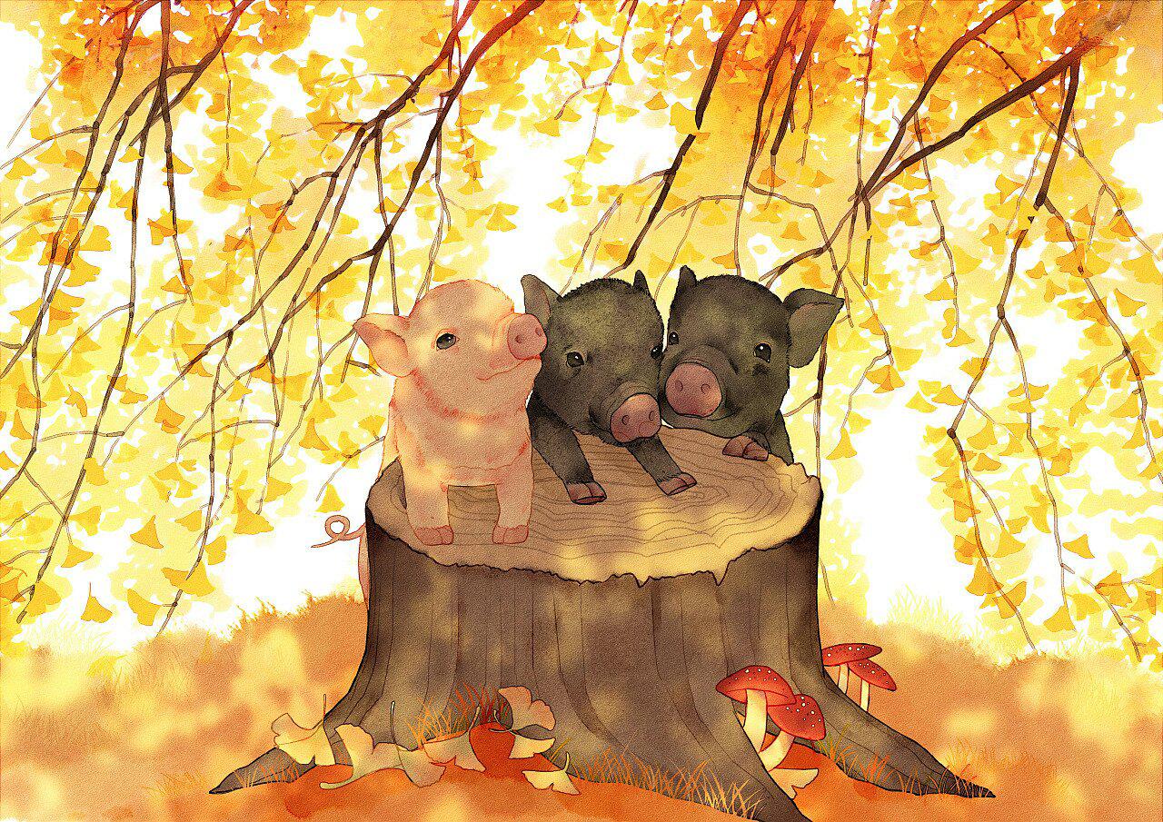 可爱小猪壁纸——圆滚滚的小猪插画,新的一年要团团圆圆呀!