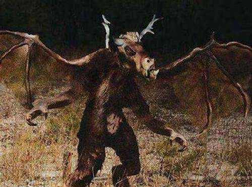 探秘泽西恶魔真相,头部似马的双足飞天兽(图片)