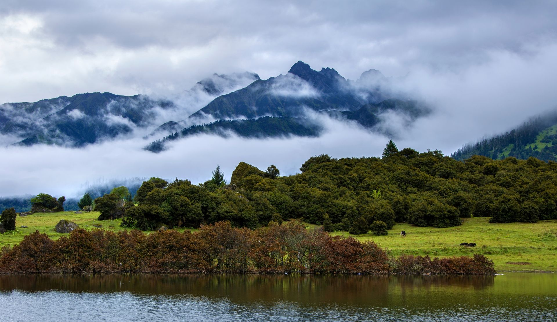 西藏有海,为鲁朗林海,一年四季都不容错过!