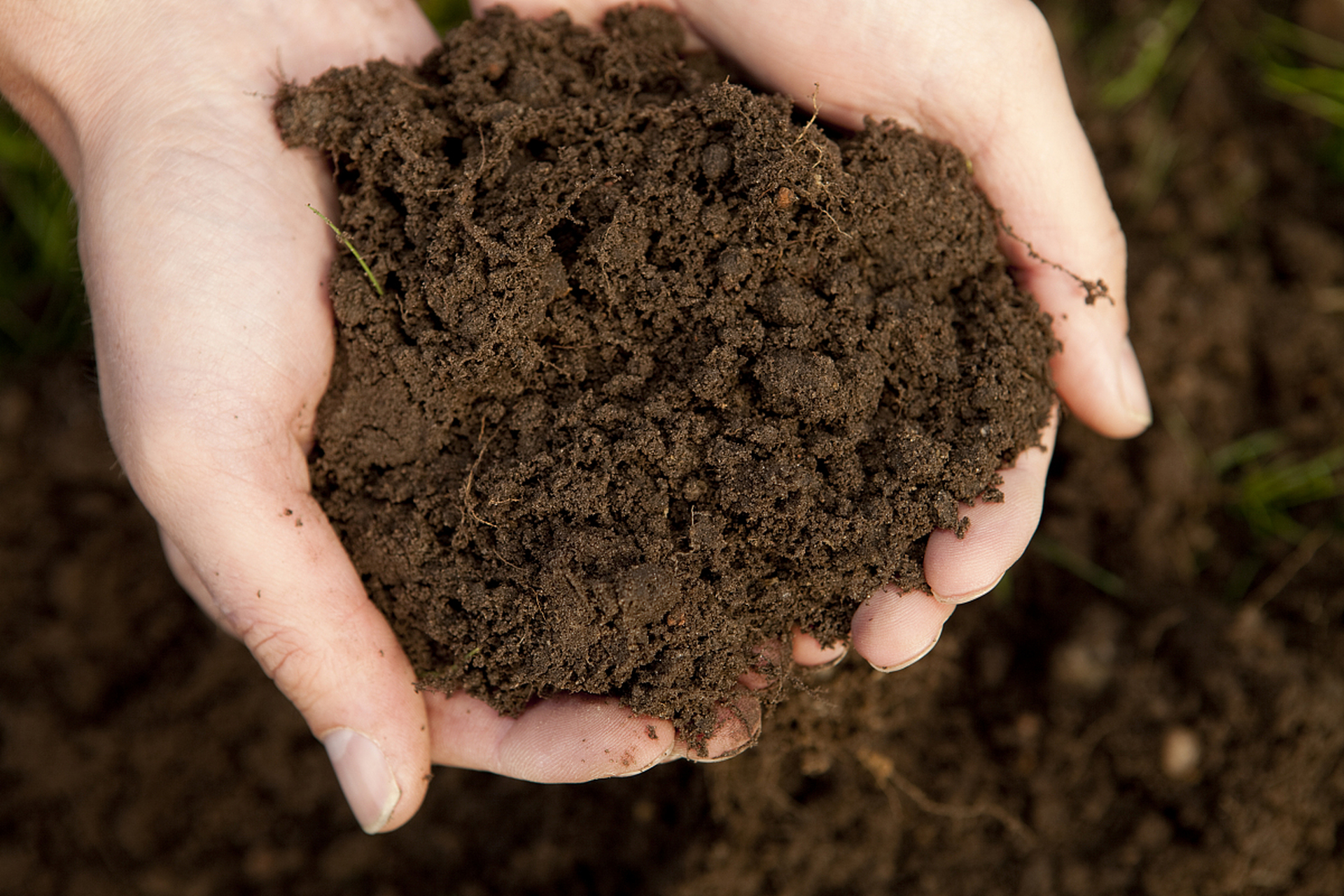 增加有机质,合理耕作,选择适宜的土壤类型和控制灌溉水量是使花卉土壤